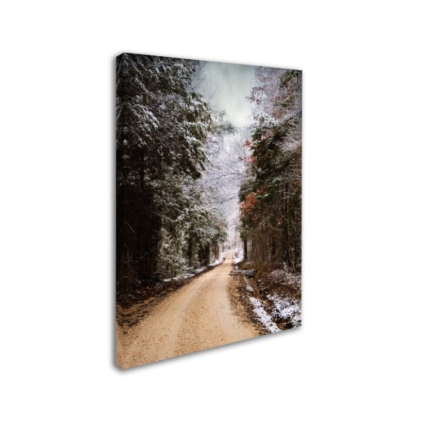 Jai Johnson 'Winter Paradise' Canvas Art,14x19